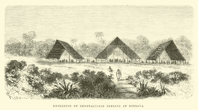 Woningen van Chontaquiros Indianen bij Consaya door Edouard Riou